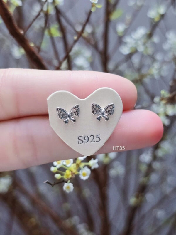 z6427593357439 c116b57c55489af867551ce36350ca55 1